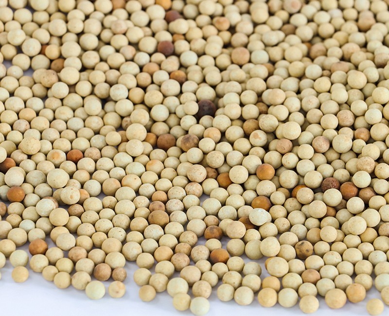 芬頓催化劑.jpg 芬頓催化劑.jpg