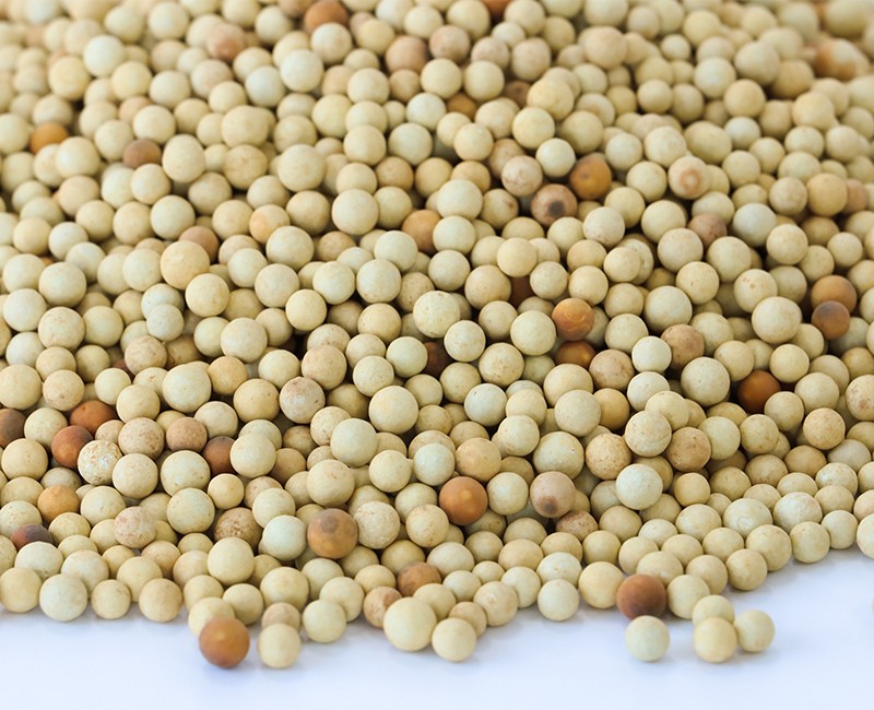 芬頓催化劑.jpg 芬頓催化劑.jpg