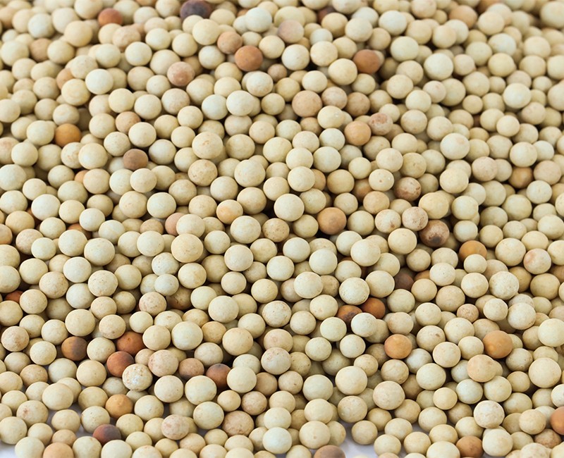 芬頓催化劑.jpg 芬頓催化劑.jpg